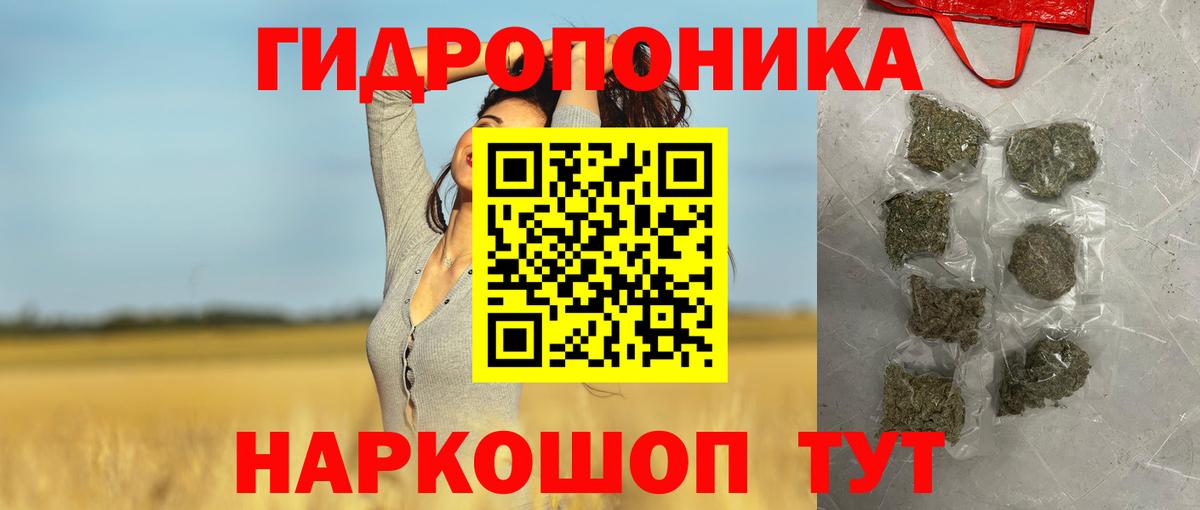 Марихуана план  МАРИХУАНА AK-47  Канабис ГИДРОПОН  Каннабис THC 21%  Соликамск  Вход с VPN 